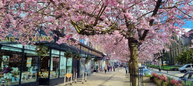 The Grove Ilkley